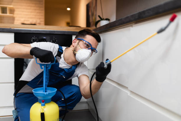 Flea Control Services in Etna, PA