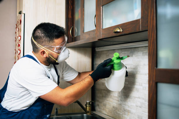 Best Pest Prevention Services  in Etna, PA
