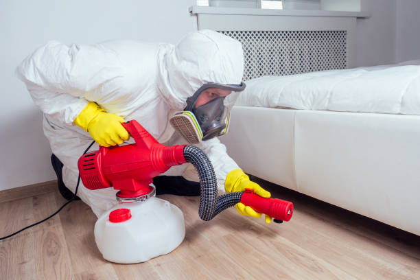 Wasp Removal Services in Etna, PA