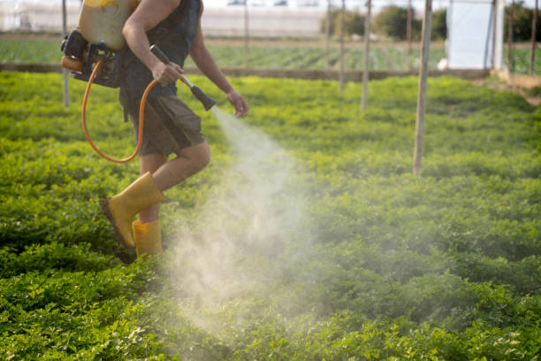 Reliable Etna, PA Pest Control Solutions
