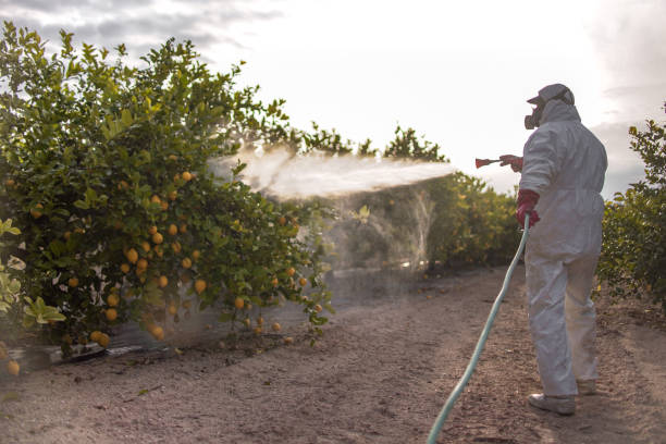 Pest Control Cost in Etna, PA