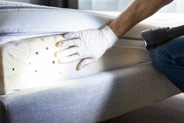 Best Wasp Removal Services  in Etna, PA
