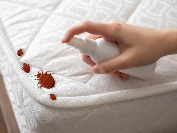 Best Cockroach Control Services  in Etna, PA