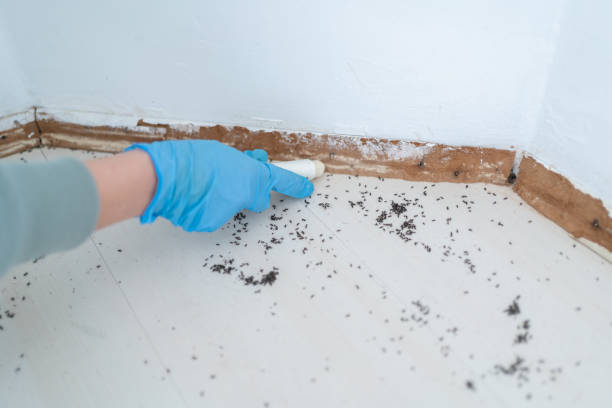 Best Flea Control Services  in Etna, PA